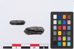 Foto von Sapropelitringperle (NHMW-PRAE-003412)